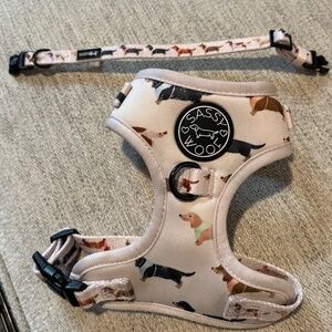 Sassy Woof Harness and collar